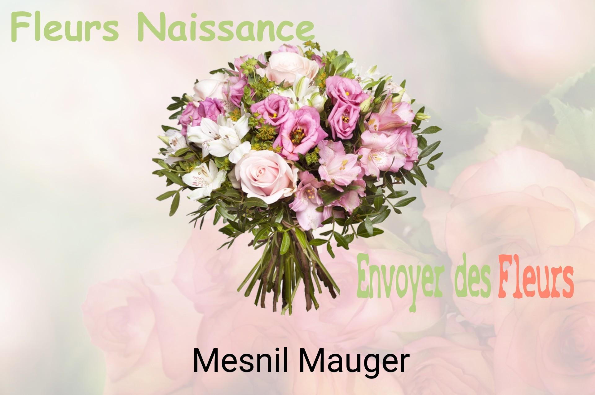 Bouquet de fleurs de naissance livré à Mesnil-Mauger